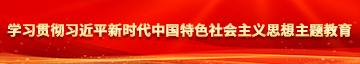 日韩大鸡巴色逼逼学习贯彻习近平新时代中国特色社会主义思想主题教育